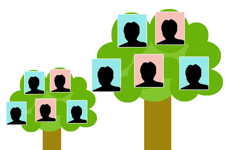 HelenKegieCollection - Family Trees